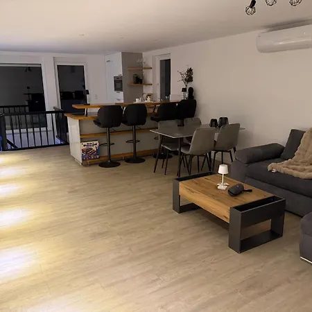 Apartman Modernes Einfamilienhaus Direkt Am Rhein *